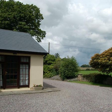 Appartement Inisfail à Killarney Extérieur photo