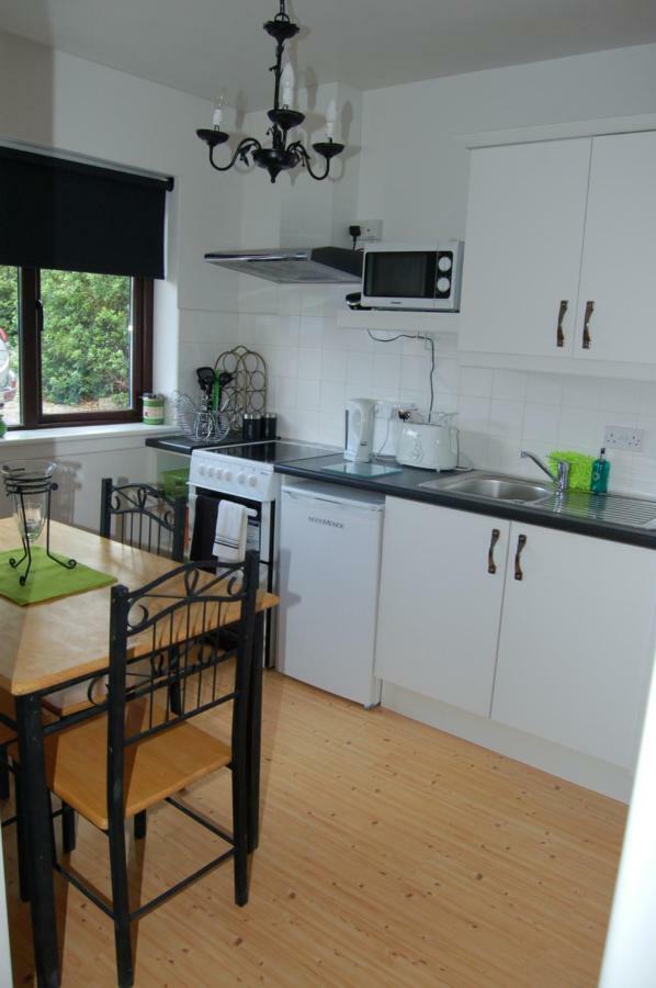 Appartement Inisfail à Killarney Extérieur photo